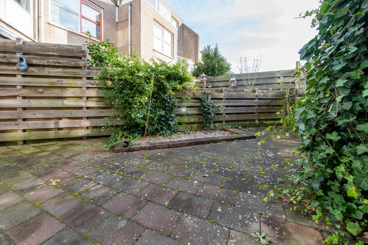 Photo 18 of Steenuil 19