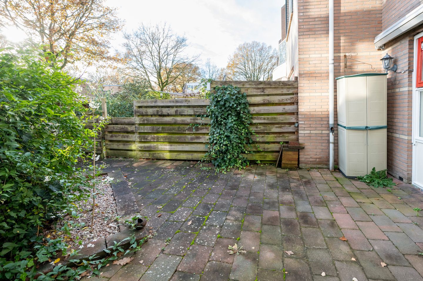 Foto 19 van Steenuil 19