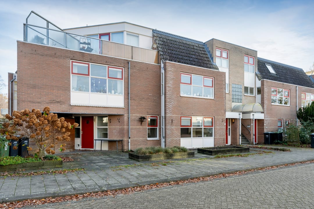 Foto 22 van Steenuil 19