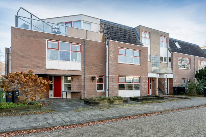 Photo 22 of Steenuil 19