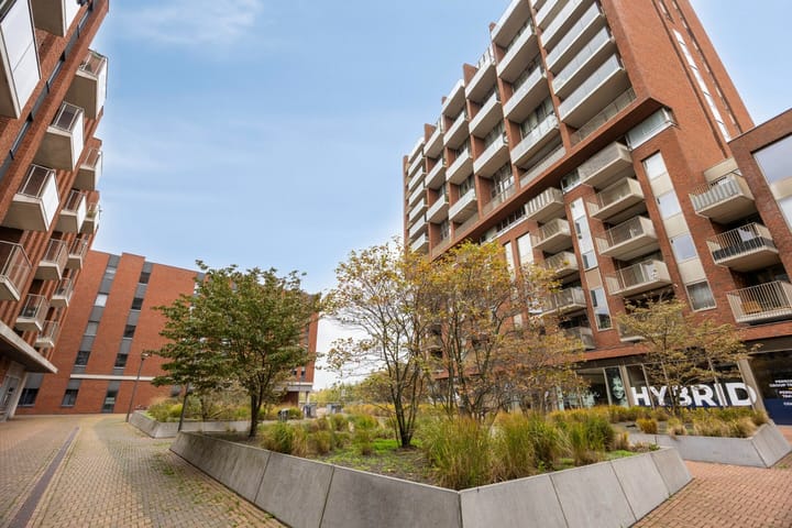 Photo 29 of Meerzand 70