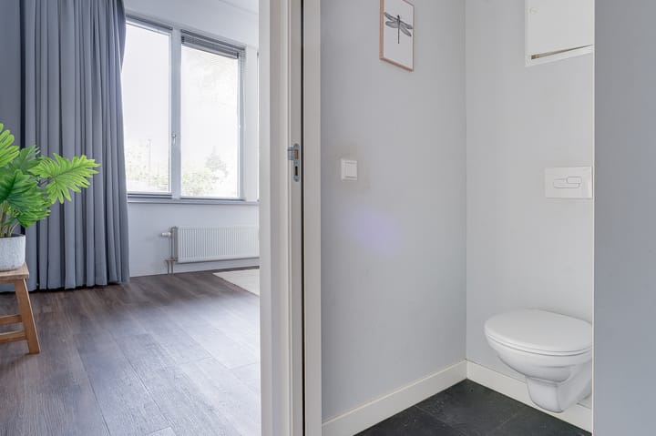 Foto 8 van Geelgors 1-10