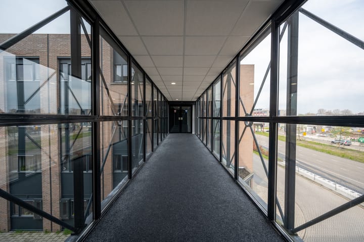 Foto 10 van Geelgors 1-10