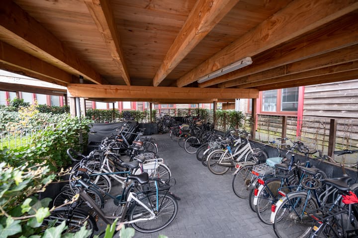 Foto 13 van Geelgors 1-10