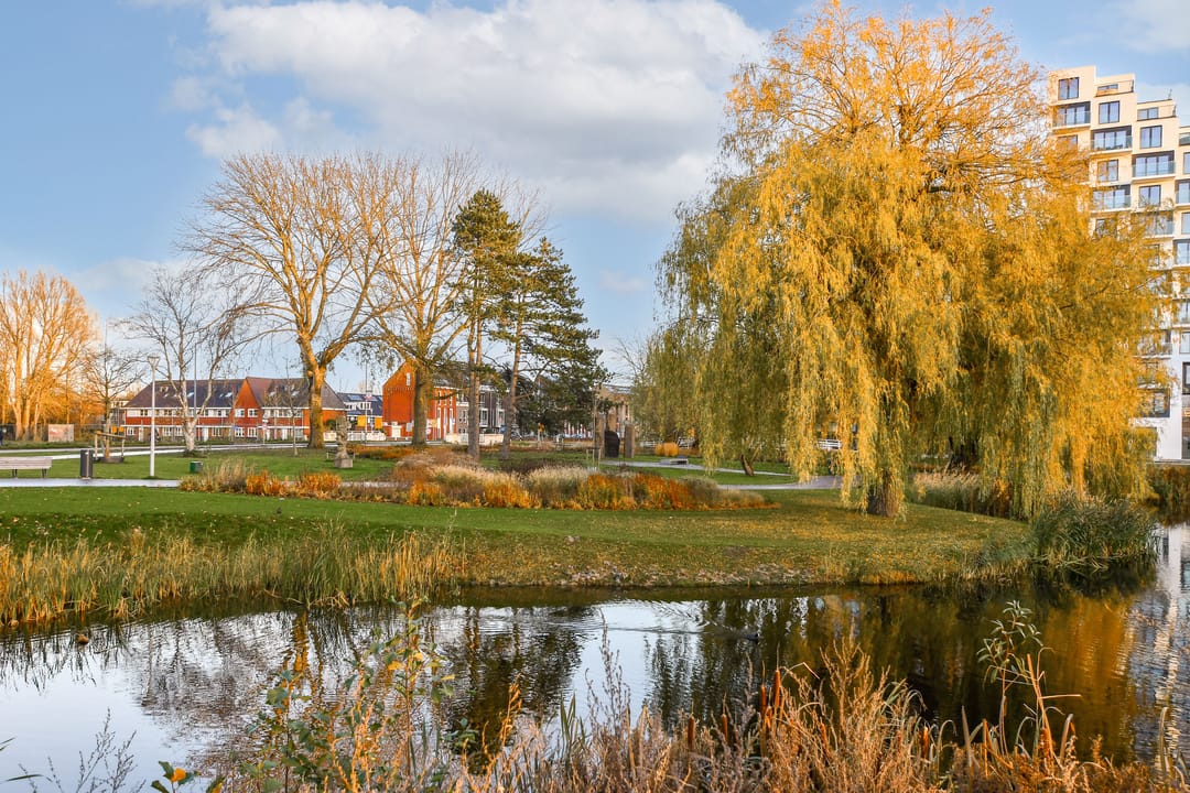 Foto 17 van Kruisweg 881