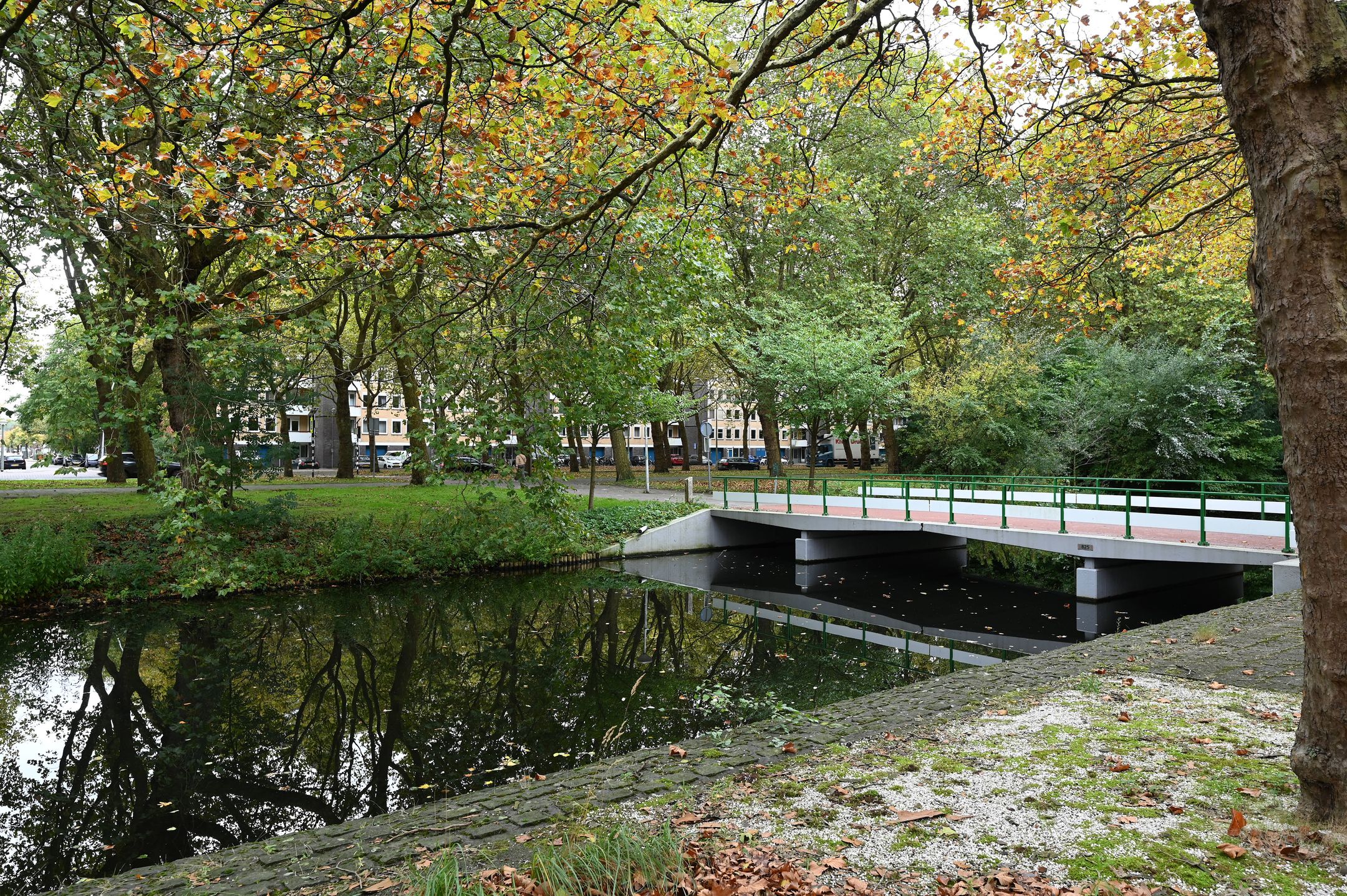 Foto 21 van Van Nijenrodeweg 572