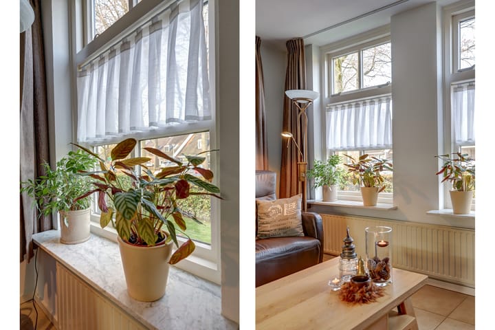 Photo 10 of Koolhof 8