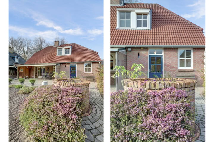 Photo 36 of Koolhof 8