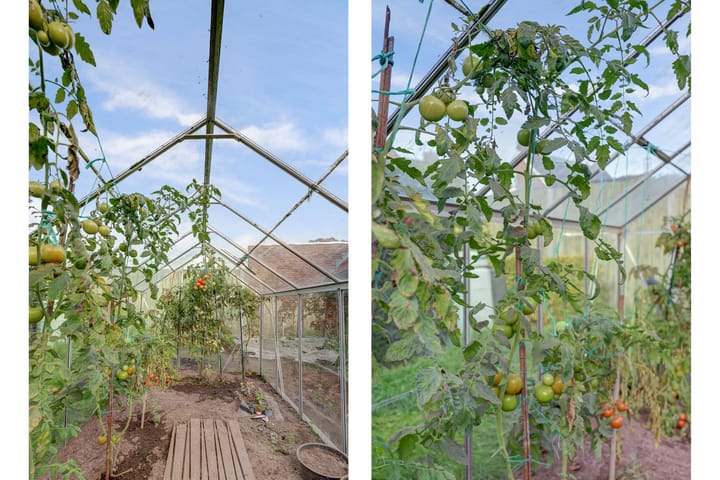 Photo 38 of Koolhof 8