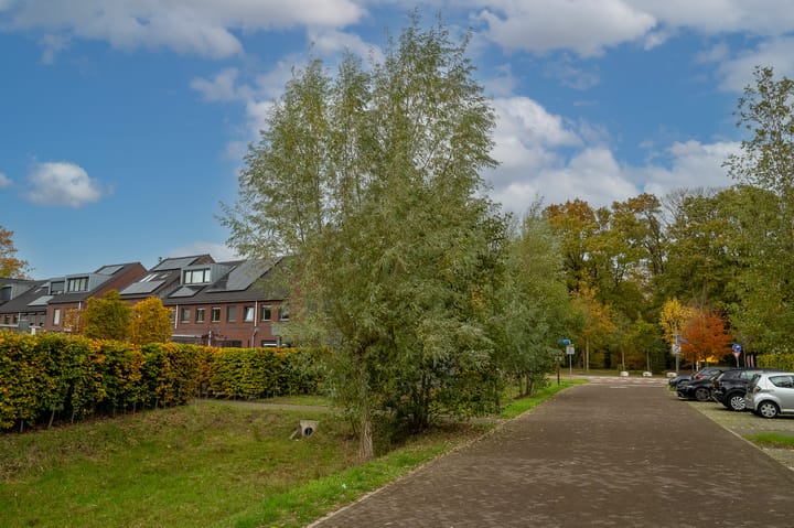 Photo 48 of Eelkje Timmengastraat 12