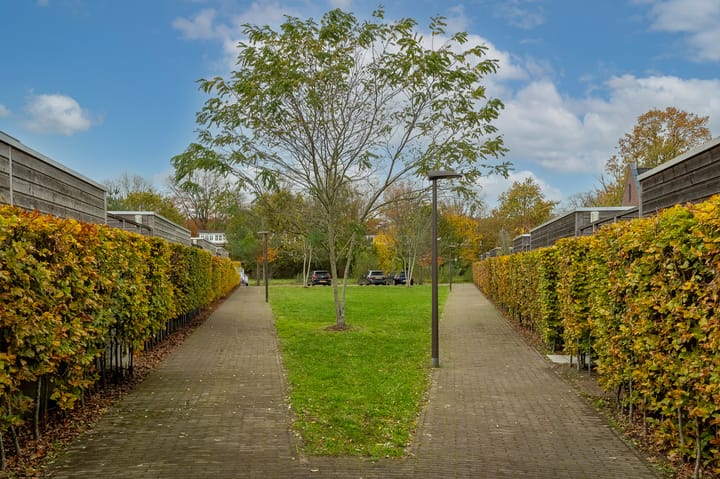 Photo 49 of Eelkje Timmengastraat 12