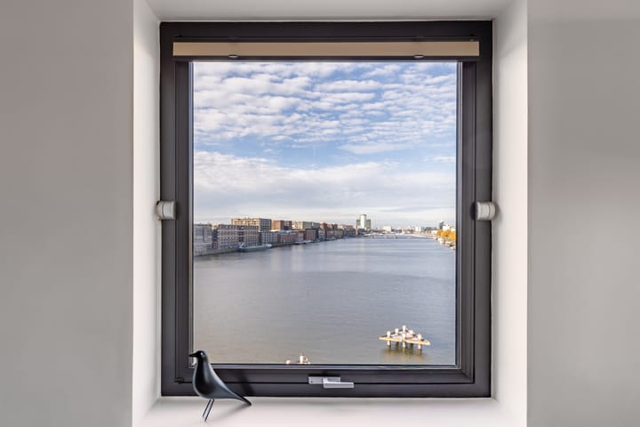 Photo 8 of Bogortuin 249