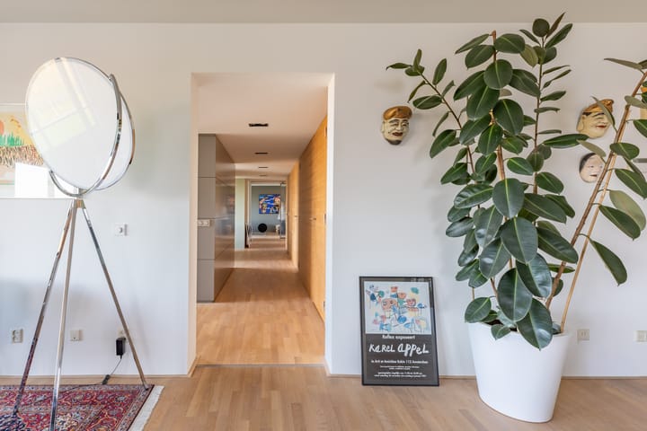 Photo 13 of Bogortuin 249