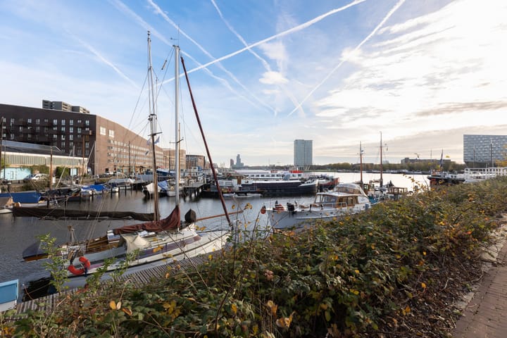 Photo 31 of Bogortuin 249