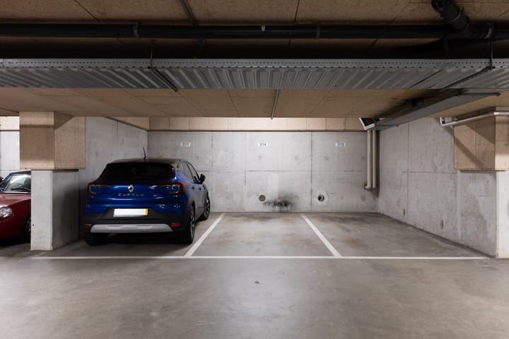 Photo 34 of Bogortuin 249