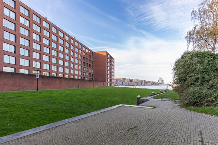 Photo 36 of Bogortuin 249