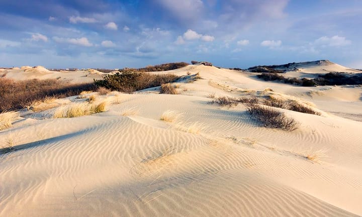 Photo 43 of Spreeuwenlaan 44