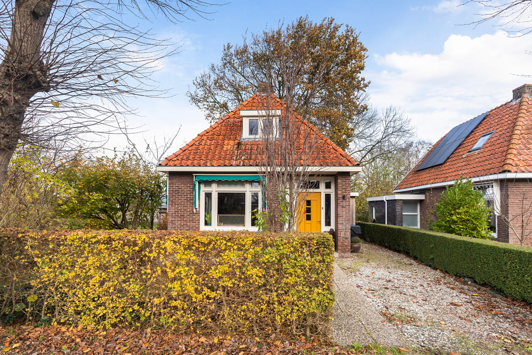 Foto 1 van Skilpaed 3