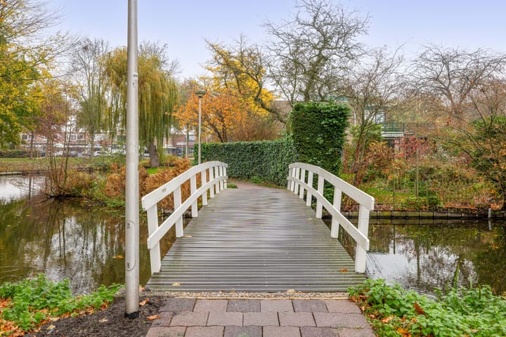 Foto 39 van de Lairessestraat 24