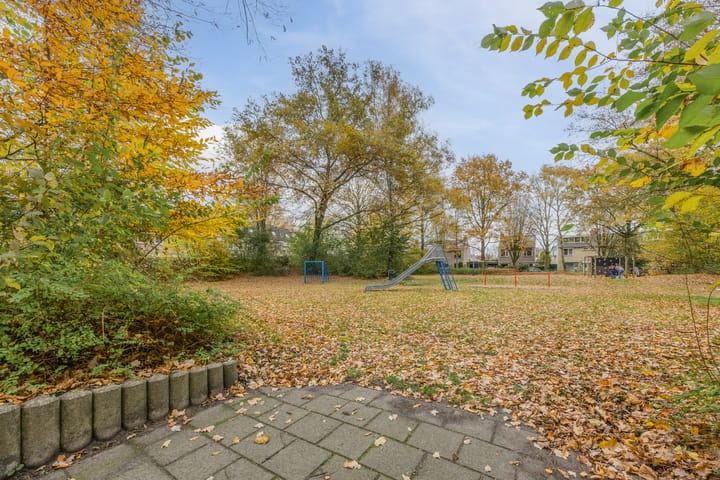 Foto 35 van Johan Frisopark 74