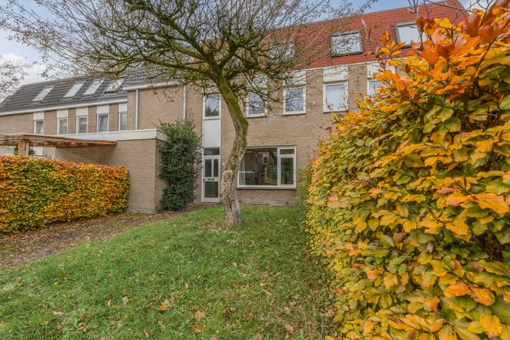 Foto 6 van Johan Frisopark 74