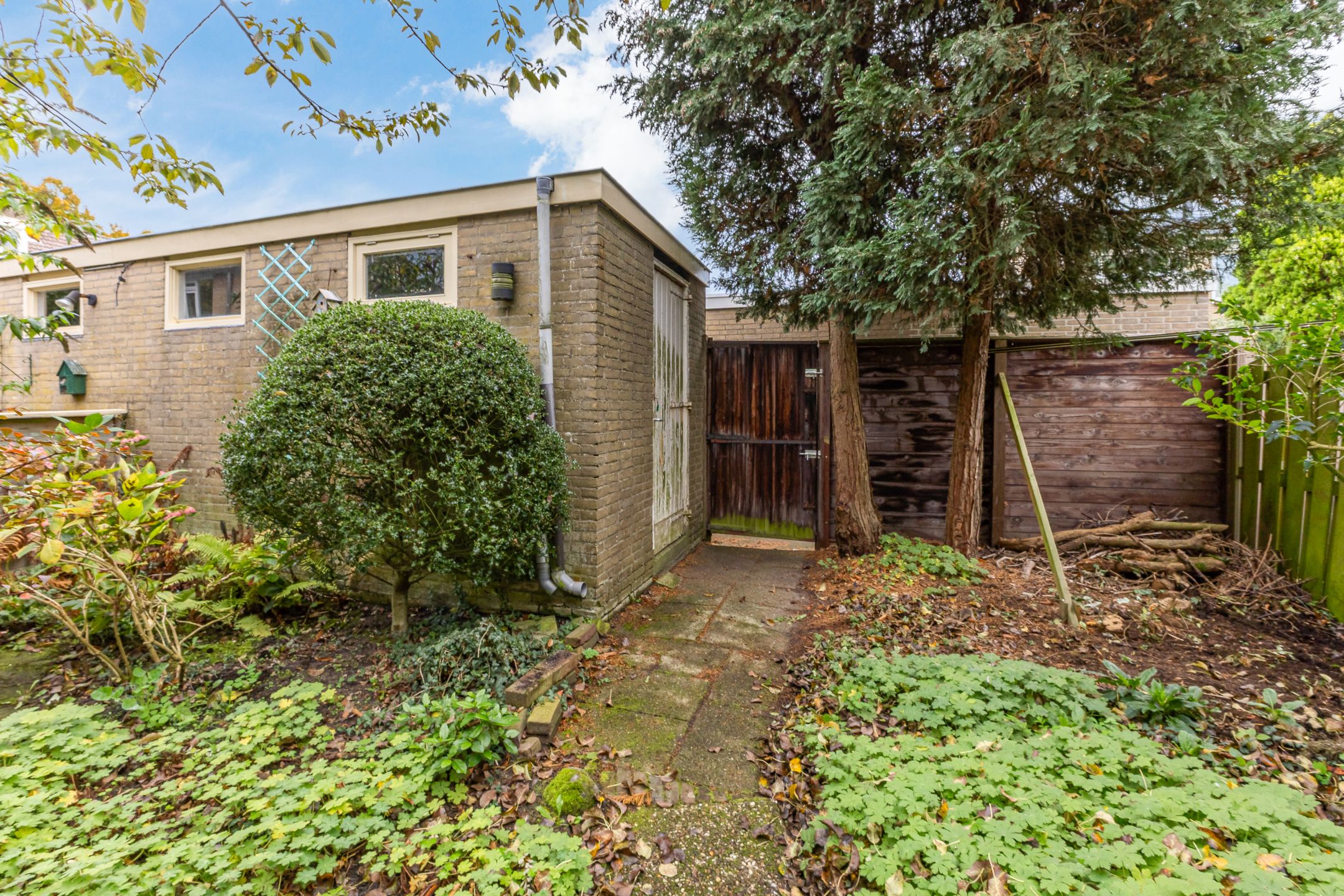 Foto 15 van Treilerstraat 56