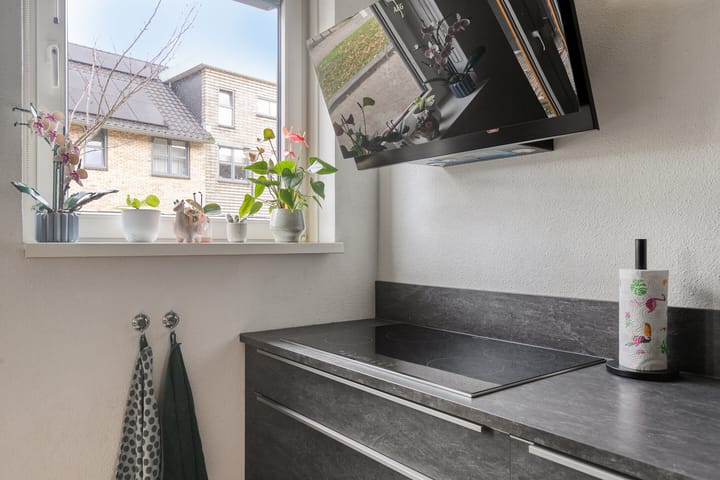 Foto 7 van Dotterbloemhof 84