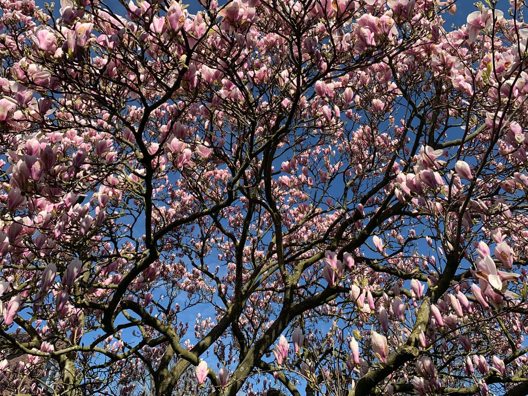 Foto 62 van Prins Bernhardlaan 8-A