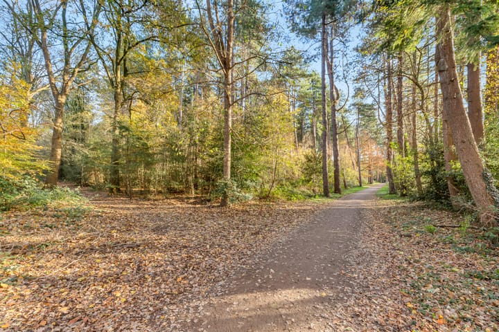 Foto 24 van Primulastraat 2