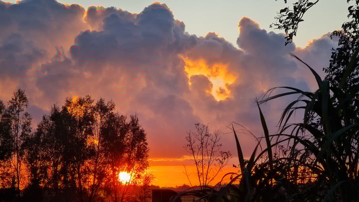 Photo 61 of Hamweg 120