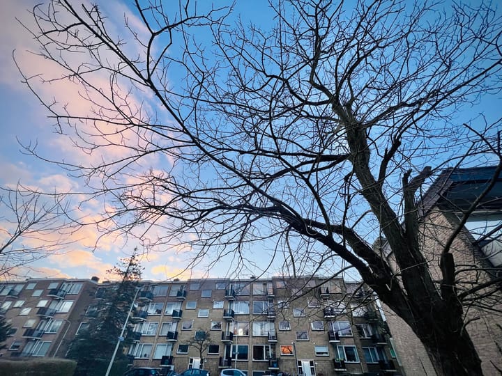 Foto 13 van Robertaland 32