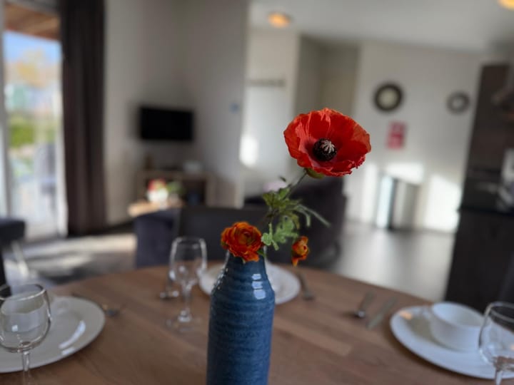 Foto 9 van Zuiderdijk 1-B12