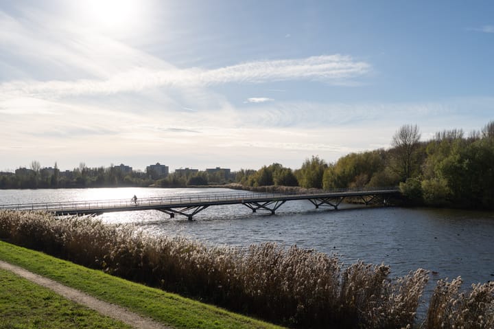 Foto 38 van Pedro de Medinalaan 194