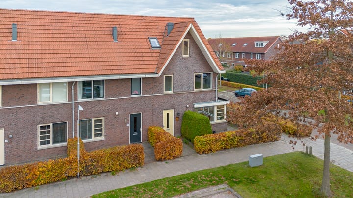 Foto 2 van Grote vuurvlinder 31