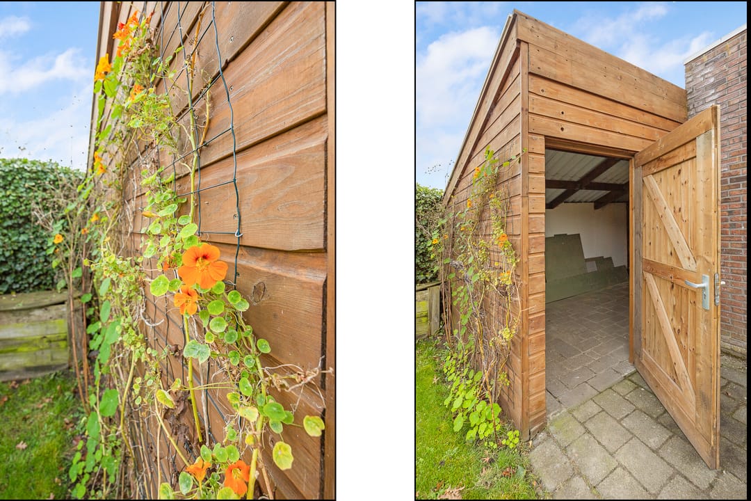 Foto 22 van Grote vuurvlinder 31