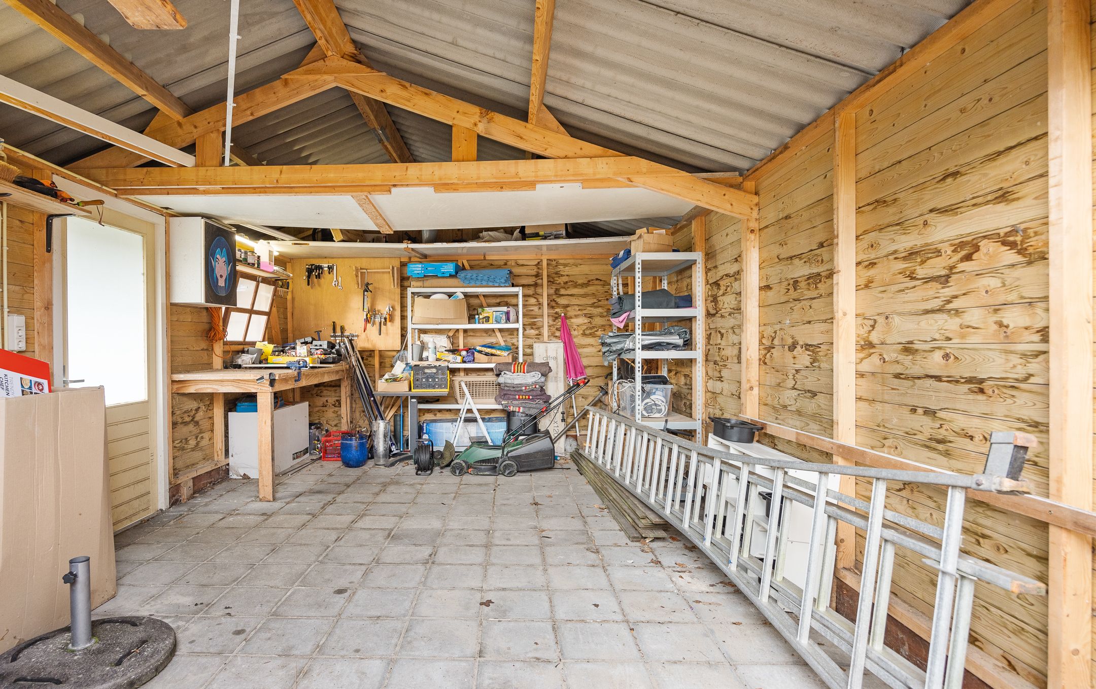 Foto 27 van Grote vuurvlinder 31