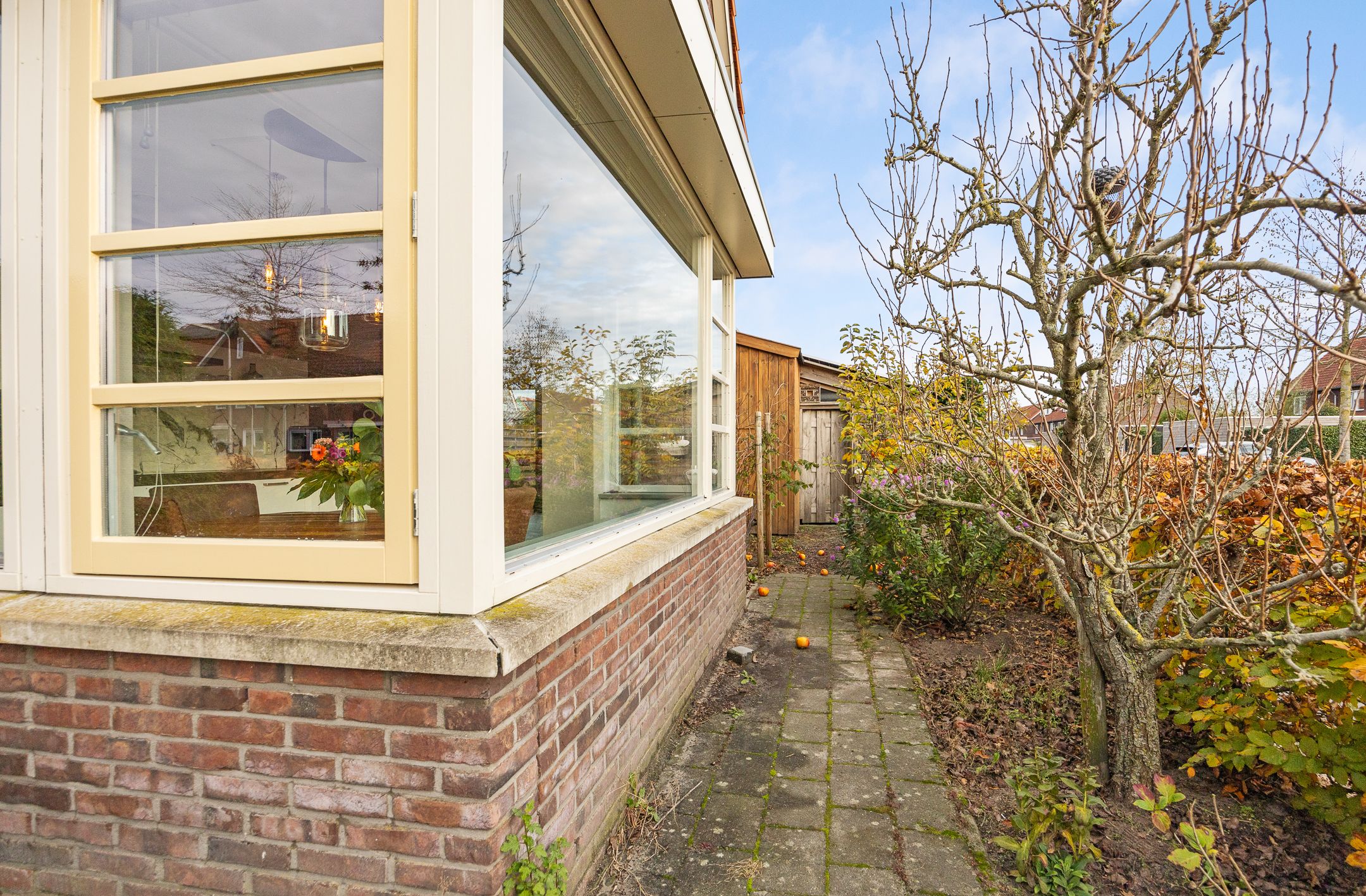 Foto 24 van Grote vuurvlinder 31