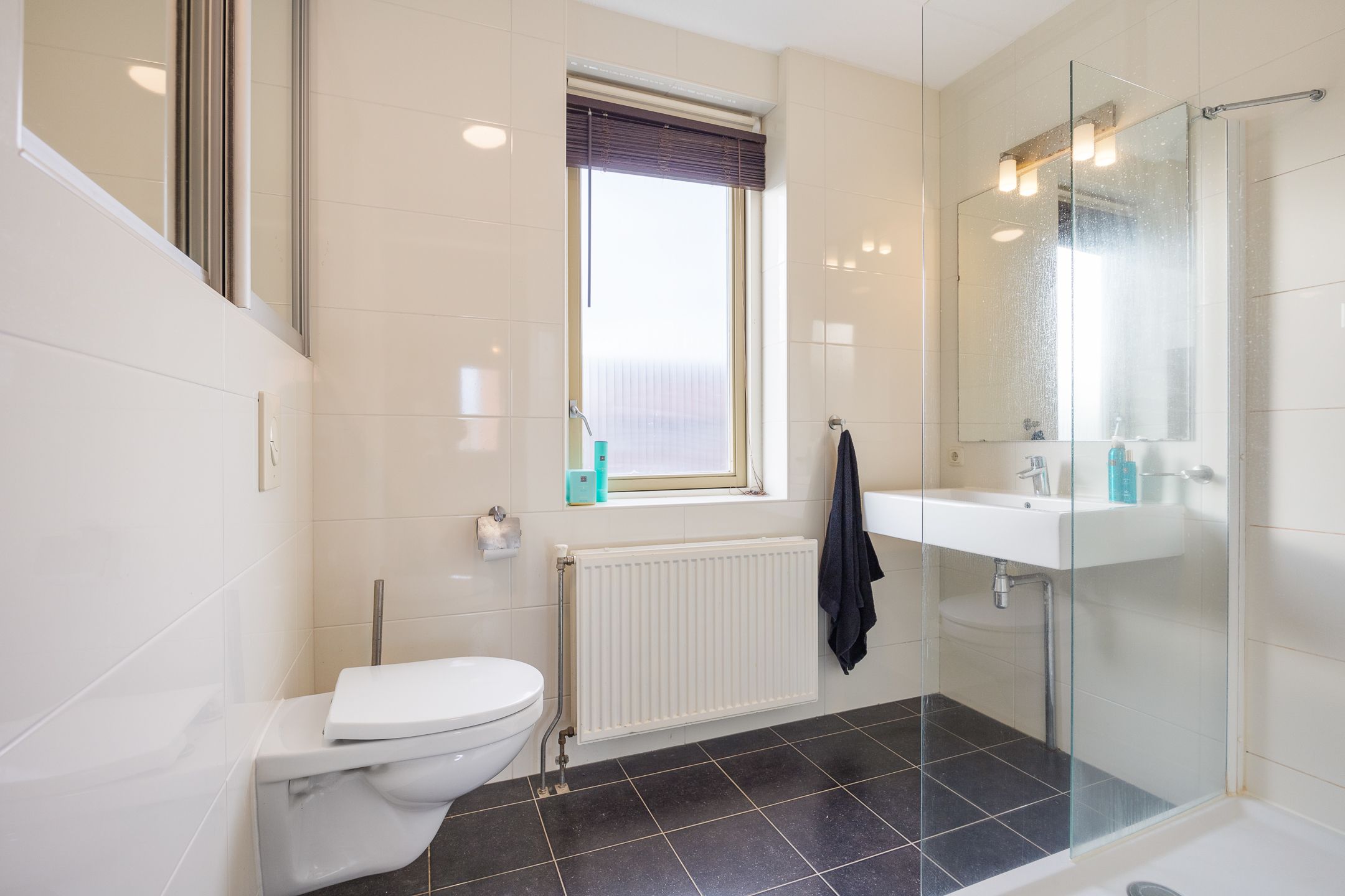 Foto 39 van Grote vuurvlinder 31