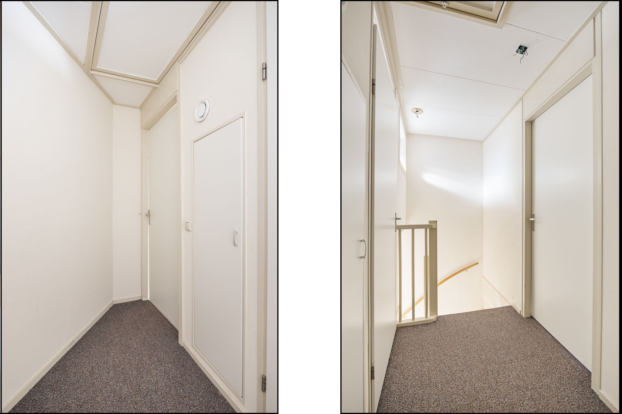 Foto 42 van Grote vuurvlinder 31