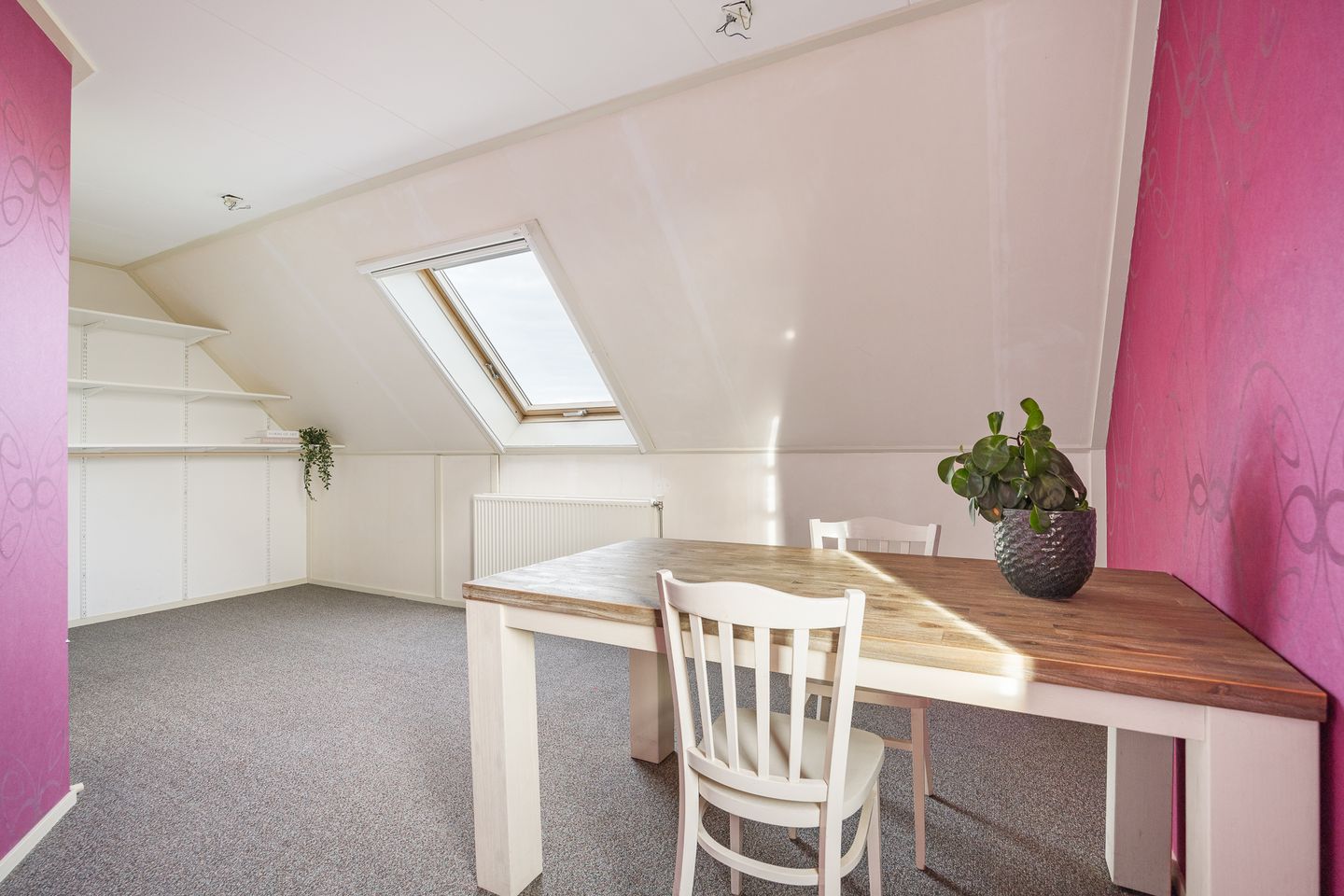 Foto 49 van Grote vuurvlinder 31