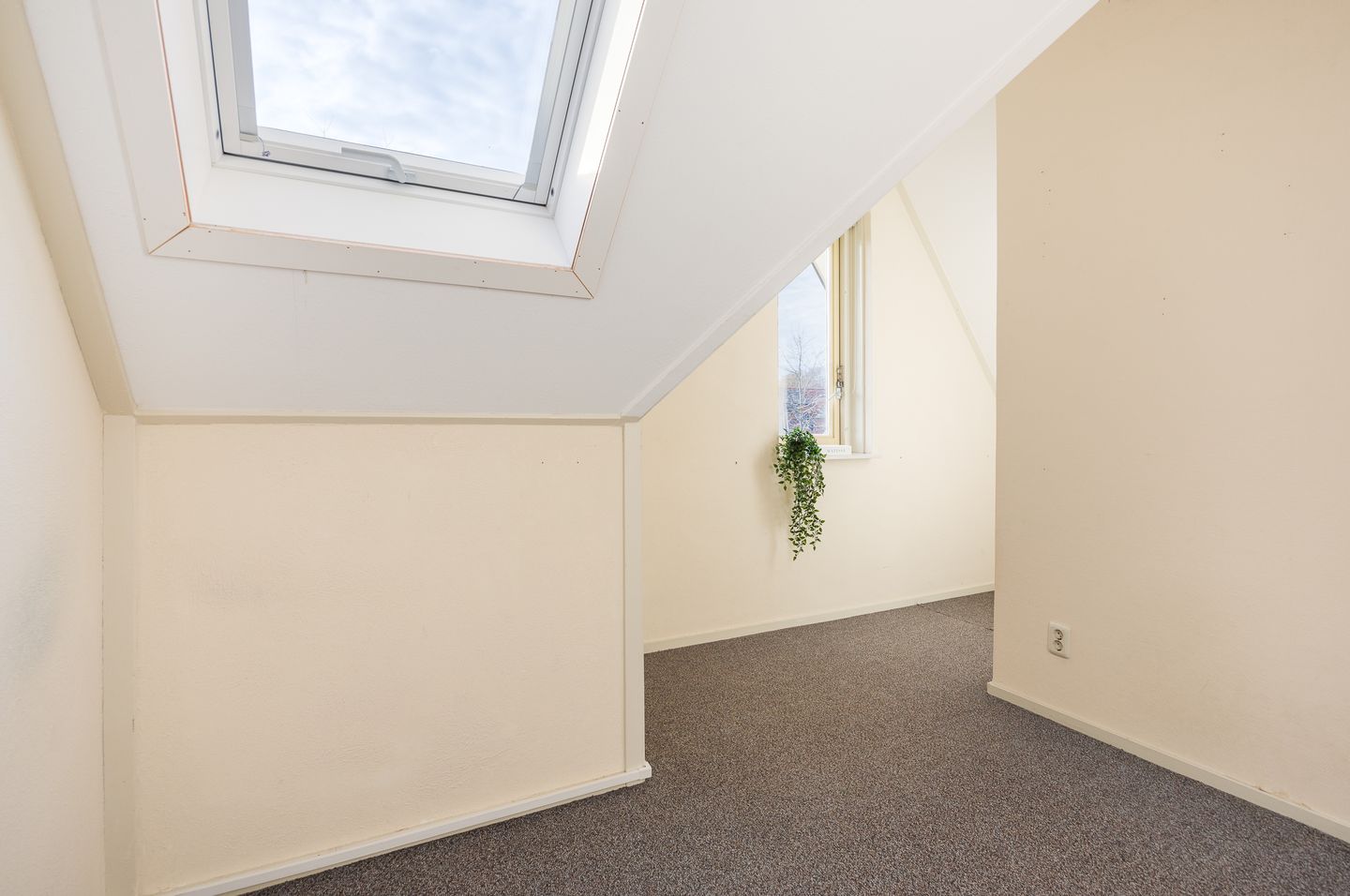 Foto 50 van Grote vuurvlinder 31