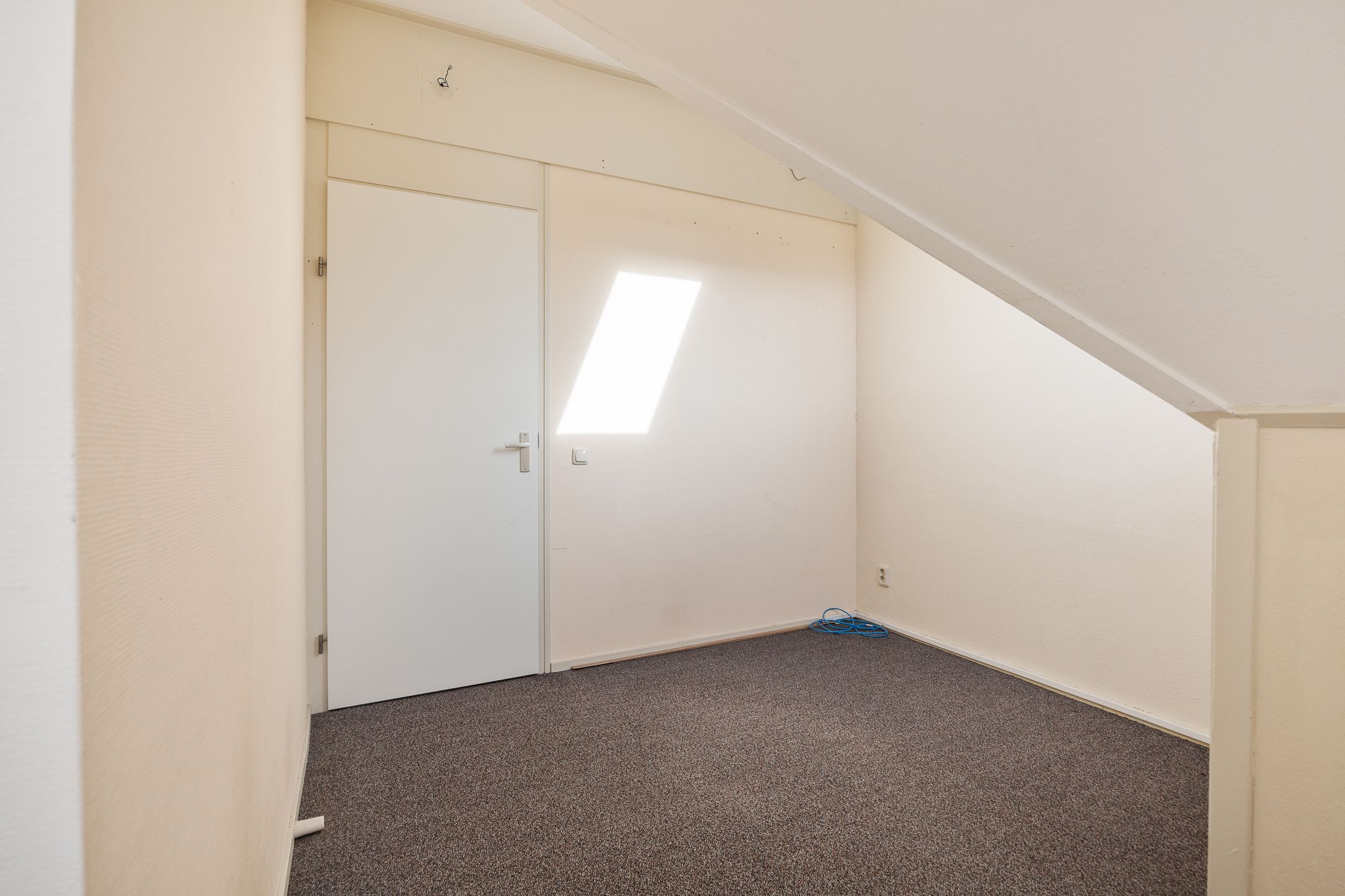 Foto 51 van Grote vuurvlinder 31