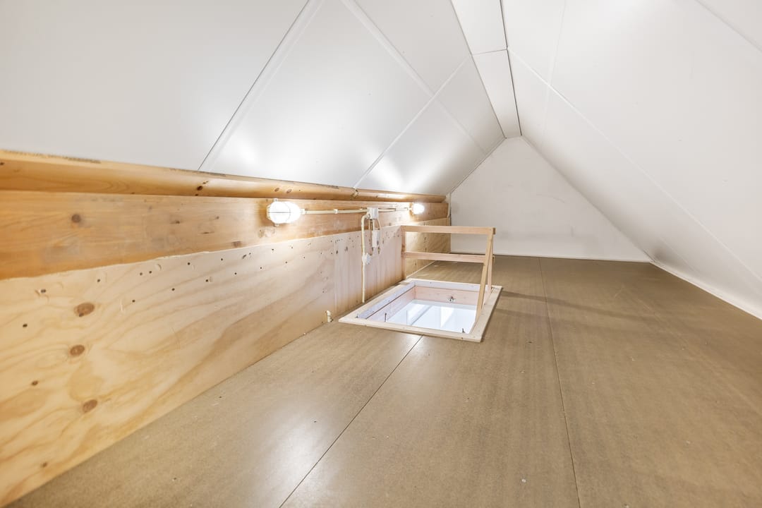 Foto 52 van Grote vuurvlinder 31