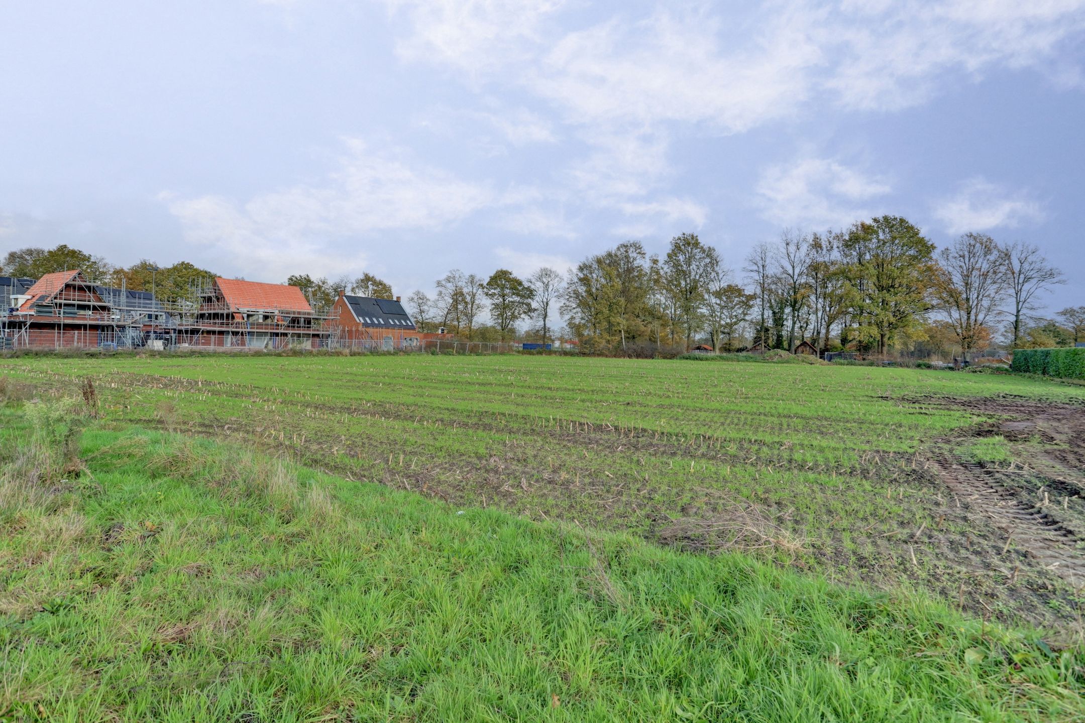 Foto 6 van Haverland