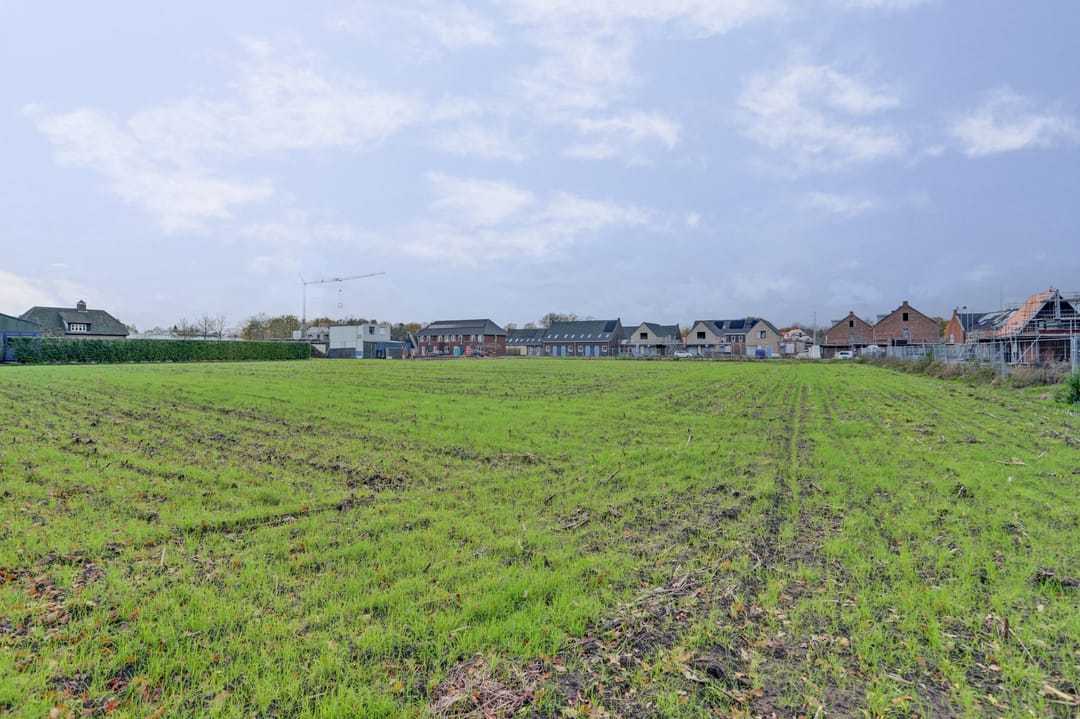 Foto 7 van Haverland