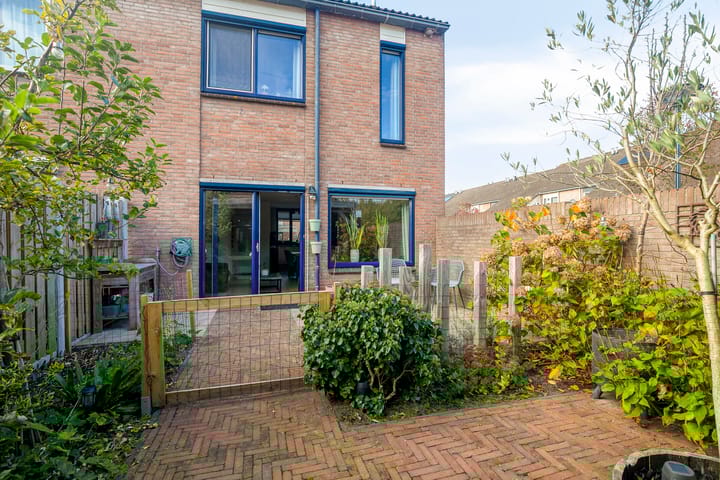 Photo 5 of Punter 49 16