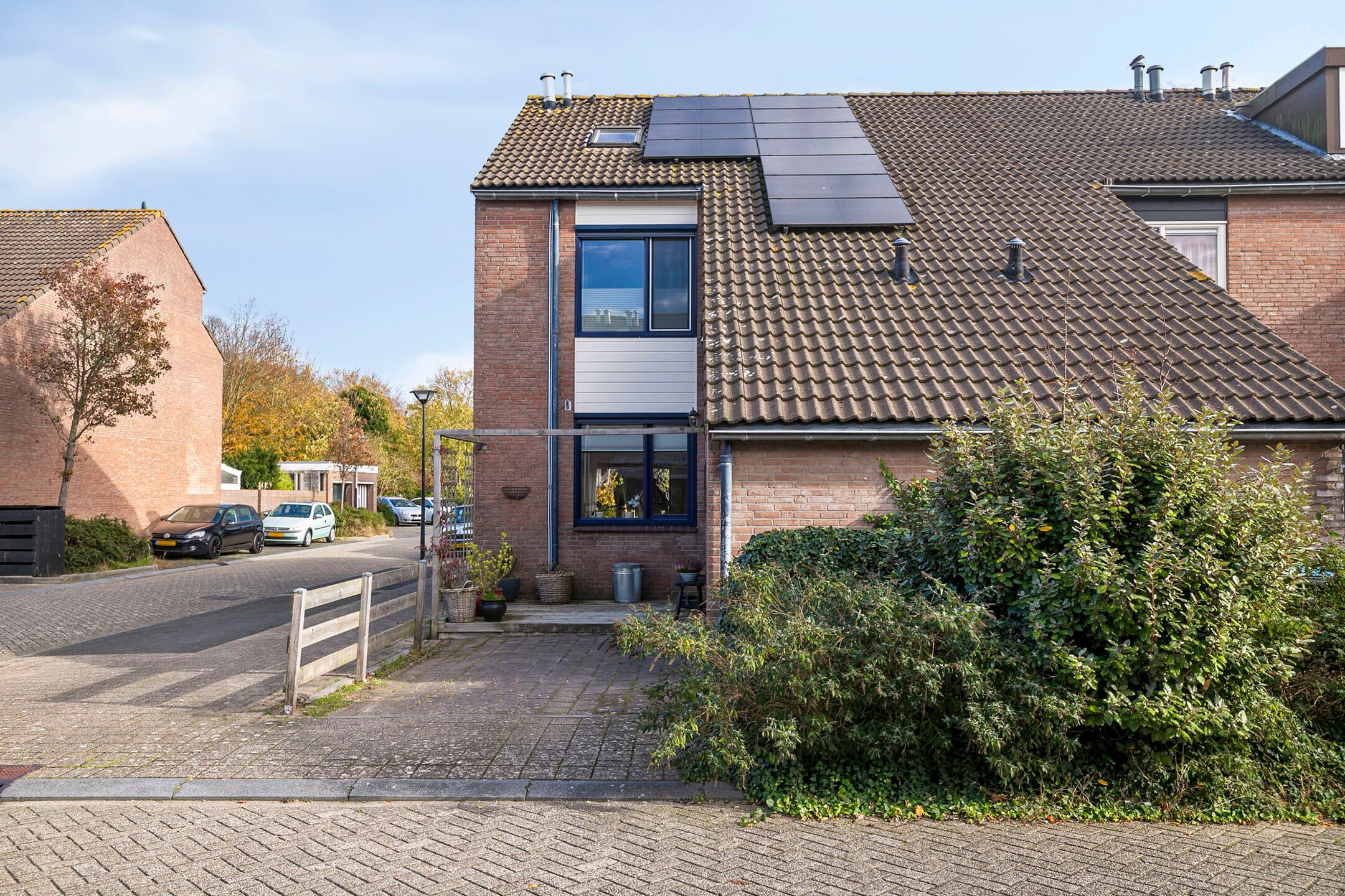 Photo 6 of Punter 49 16