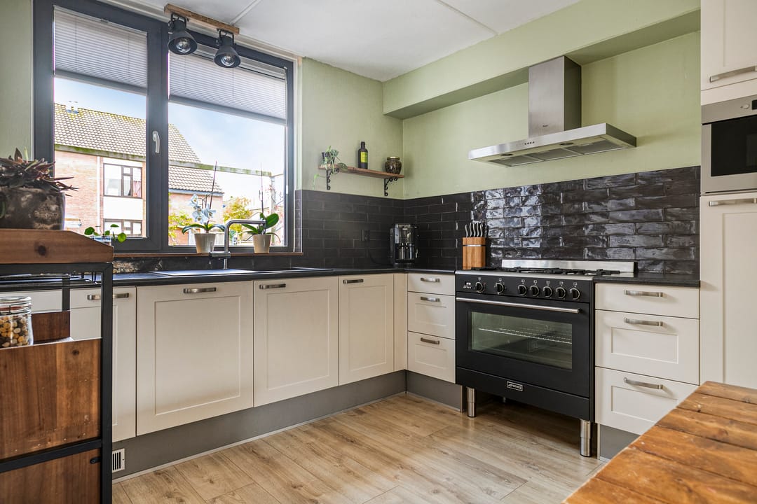 Photo 11 of Punter 49 16