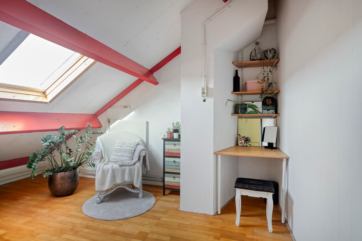 Photo 25 of Punter 49 16