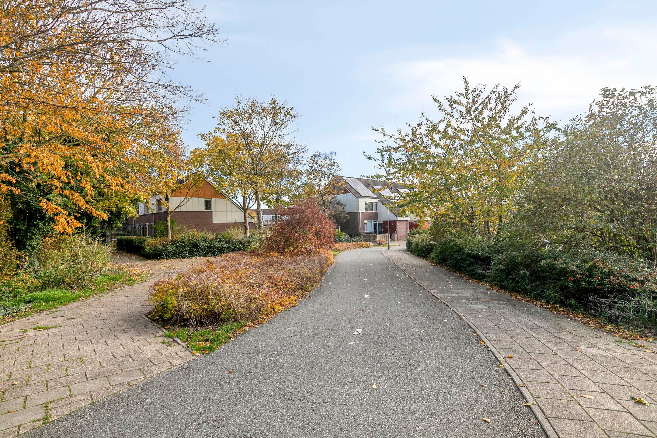 Photo 27 of Punter 49 16